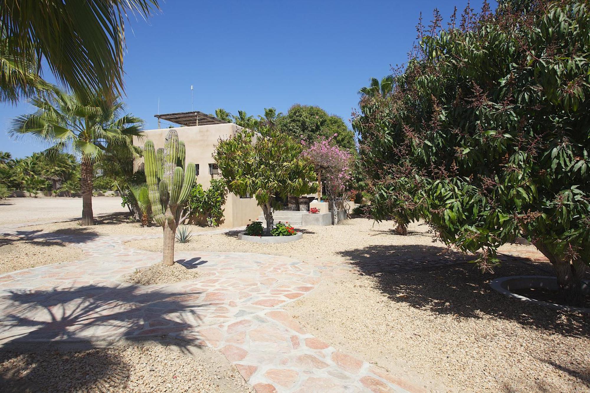 Sole Caliente Villa Todos Santos Exterior foto