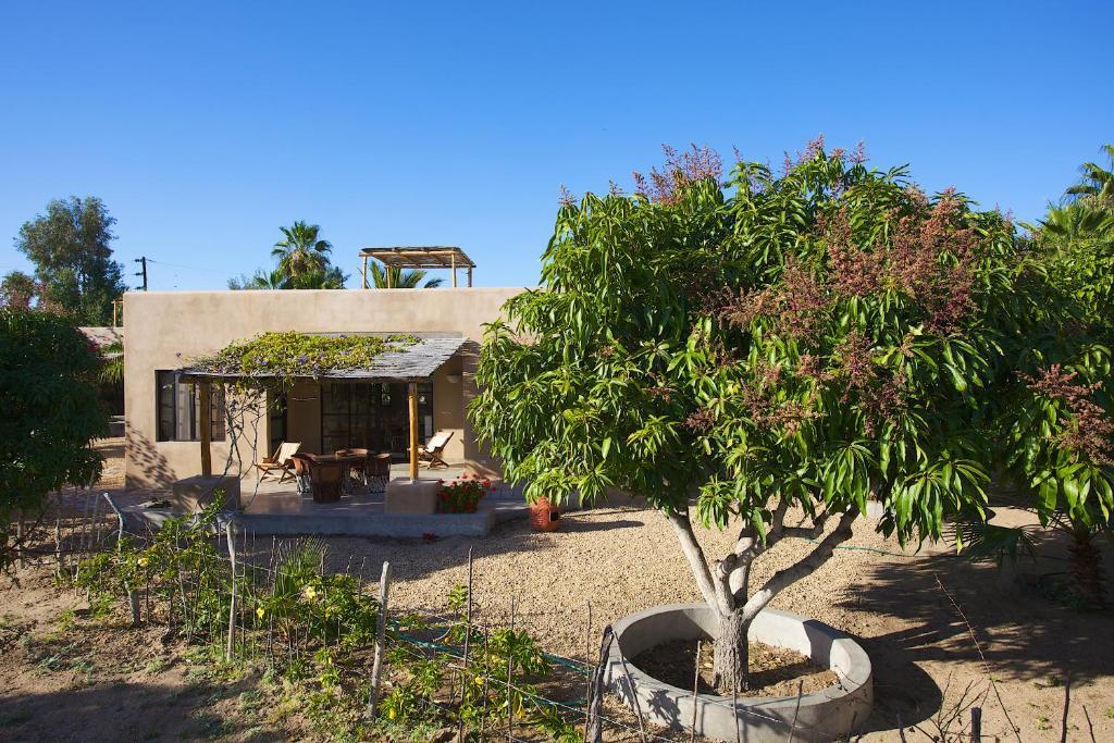 Sole Caliente Villa Todos Santos Exterior foto