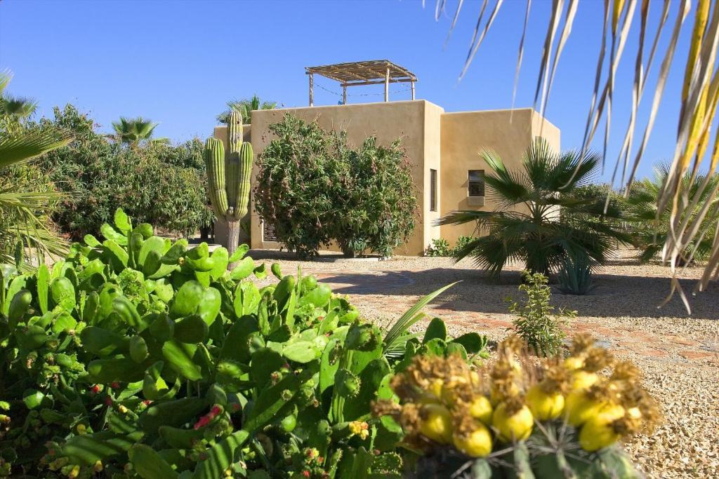 Sole Caliente Villa Todos Santos Exterior foto