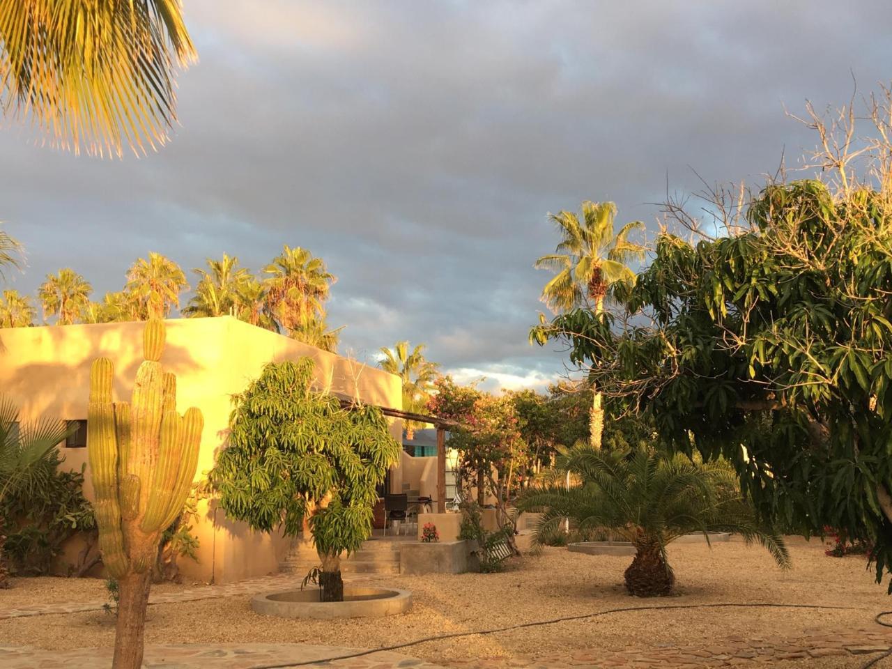 Sole Caliente Villa Todos Santos Exterior foto